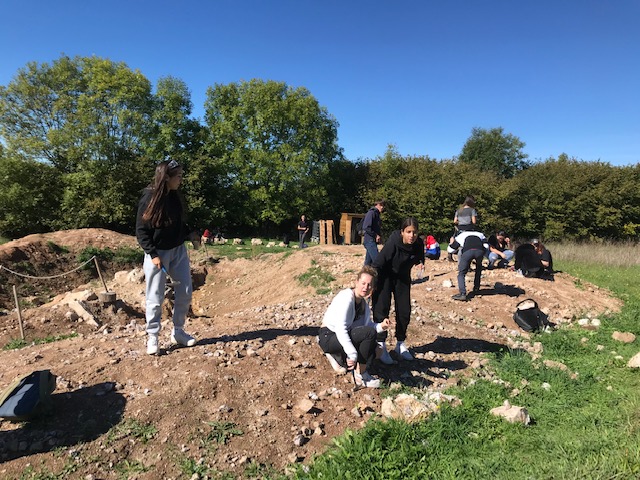 IMG_4917 image IMG 4917