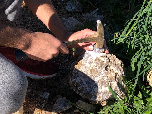 IMG_8980 image IMG 8980