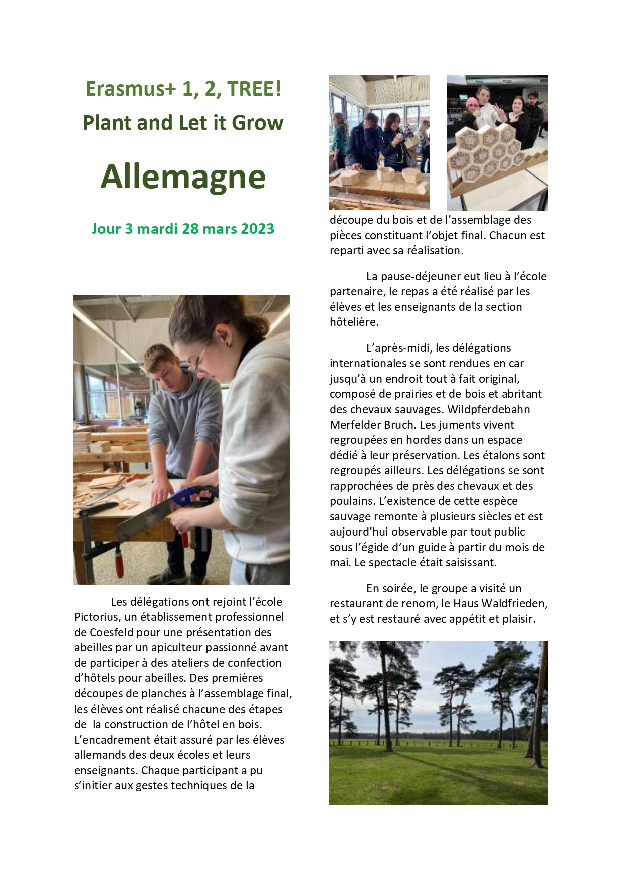 CR_J3_Allemagne_page-0001 Lyc&eacute;e Professionnel Jean Gu&eacute;henno - Lyc&eacute;e Professionnel Jean Gu&eacute;henno