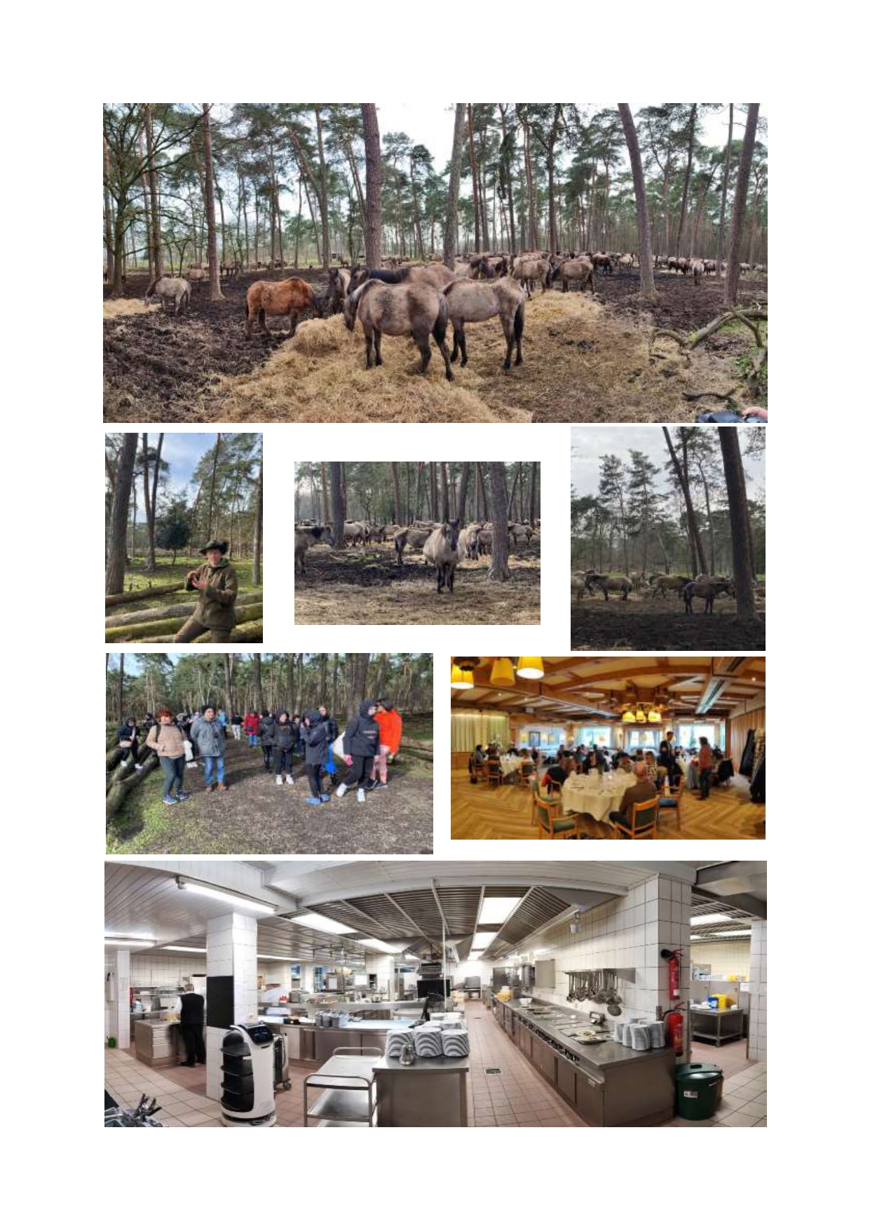 CR_J3_Allemagne_page-0002 Lyc&eacute;e Professionnel Jean Gu&eacute;henno - Lyc&eacute;e Professionnel Jean Gu&eacute;henno