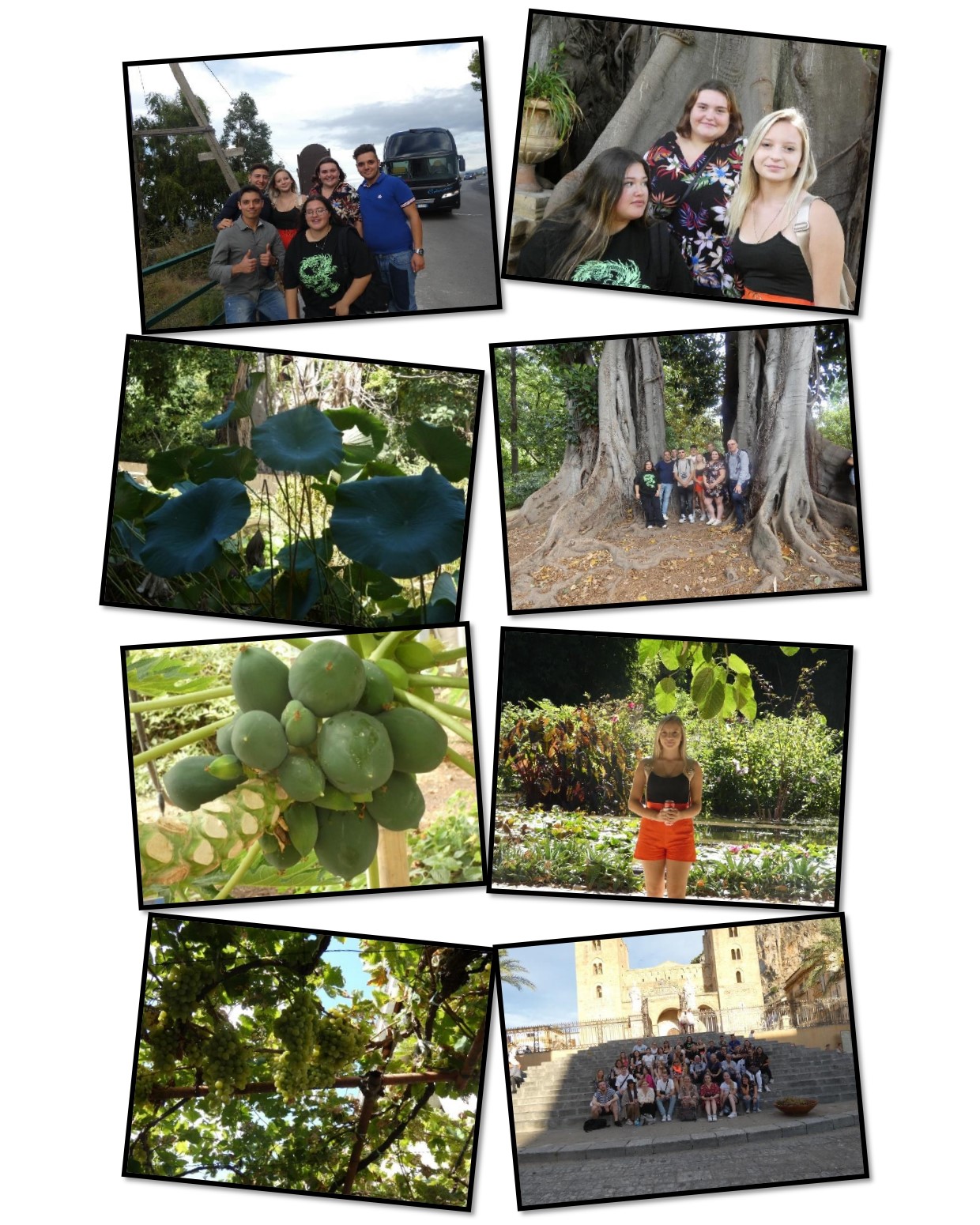 SICILE ERASMUS page 0005