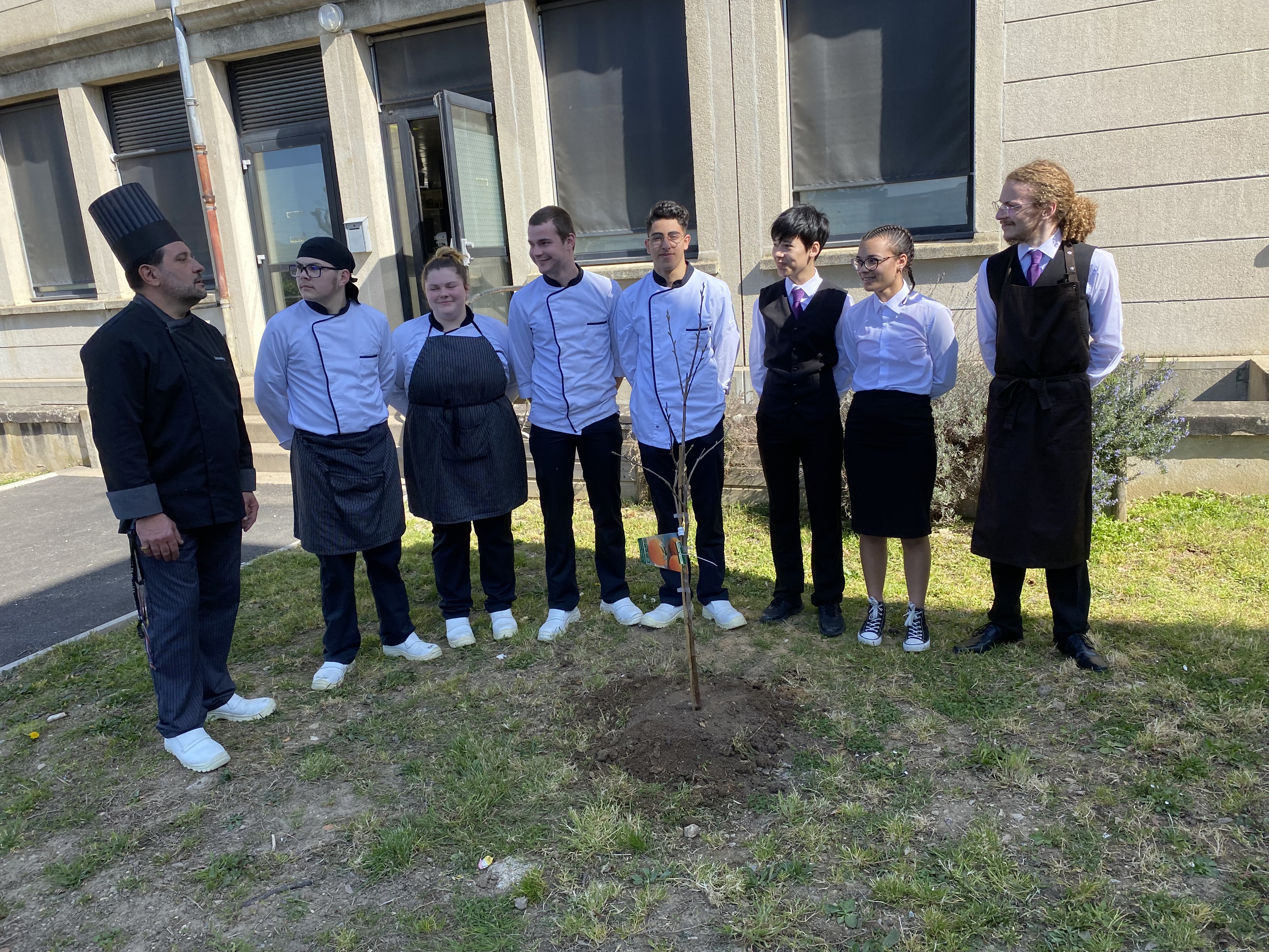 Le kaki est plant&eacute; !