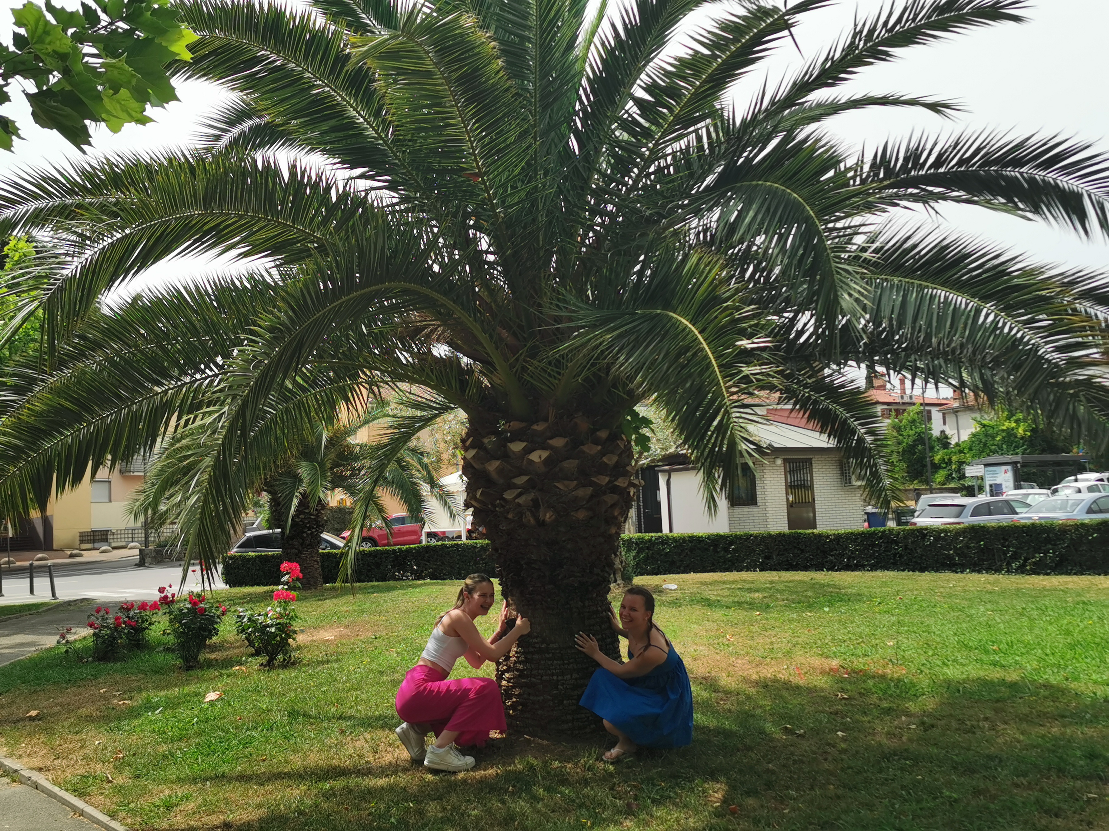 IMG_20220603_112410 image IMG 20220603 112410