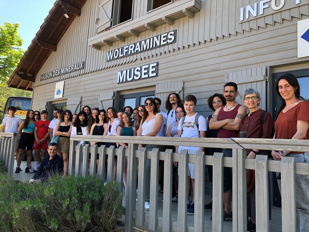 IMG_3856 image IMG 3856