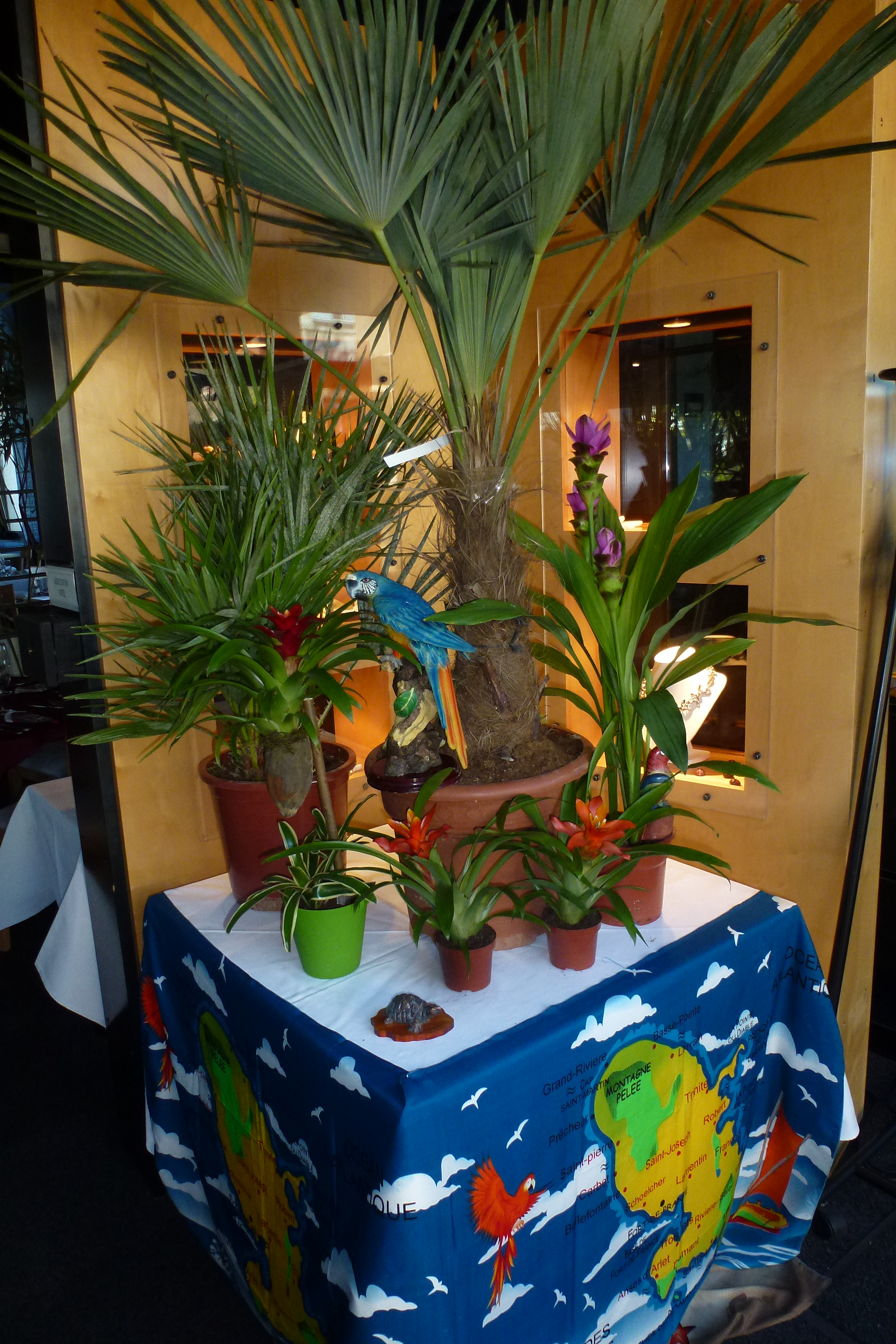 Soire-Dom-Tom