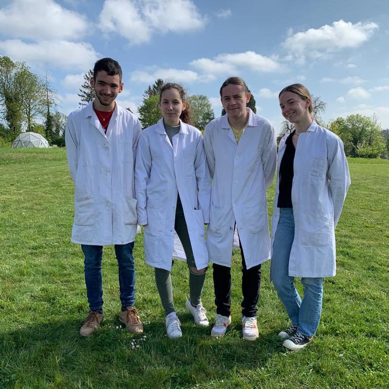 stagiaires_namur image stagiaires namur